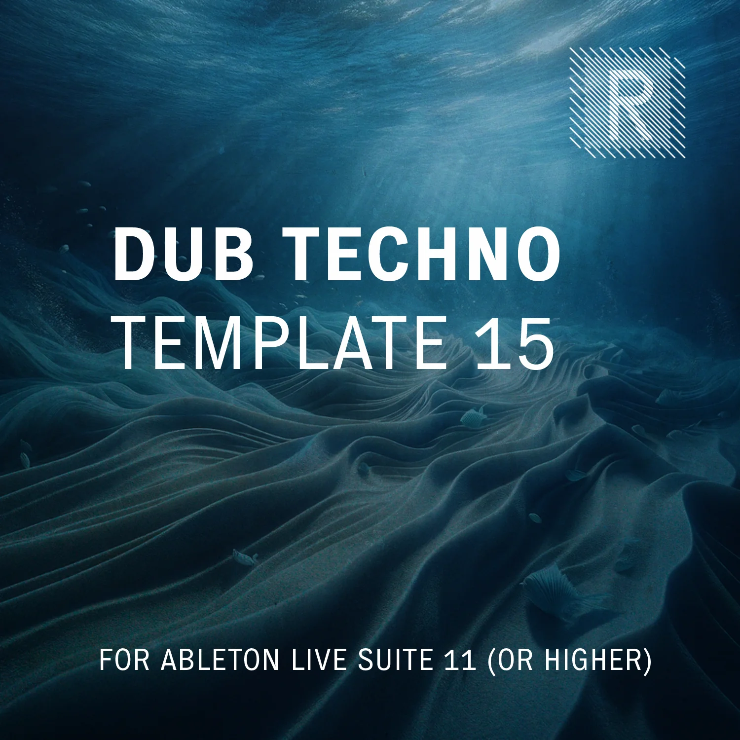 Riemann Dub Techno 15 Template for Ableton Live 11 (or higher versions)
