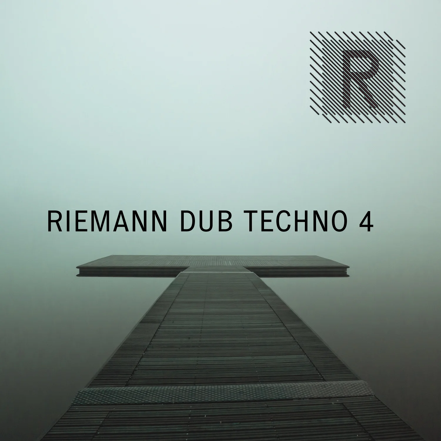 Riemann Dub Techno 4 (24bit WAV Loops & Oneshots)
