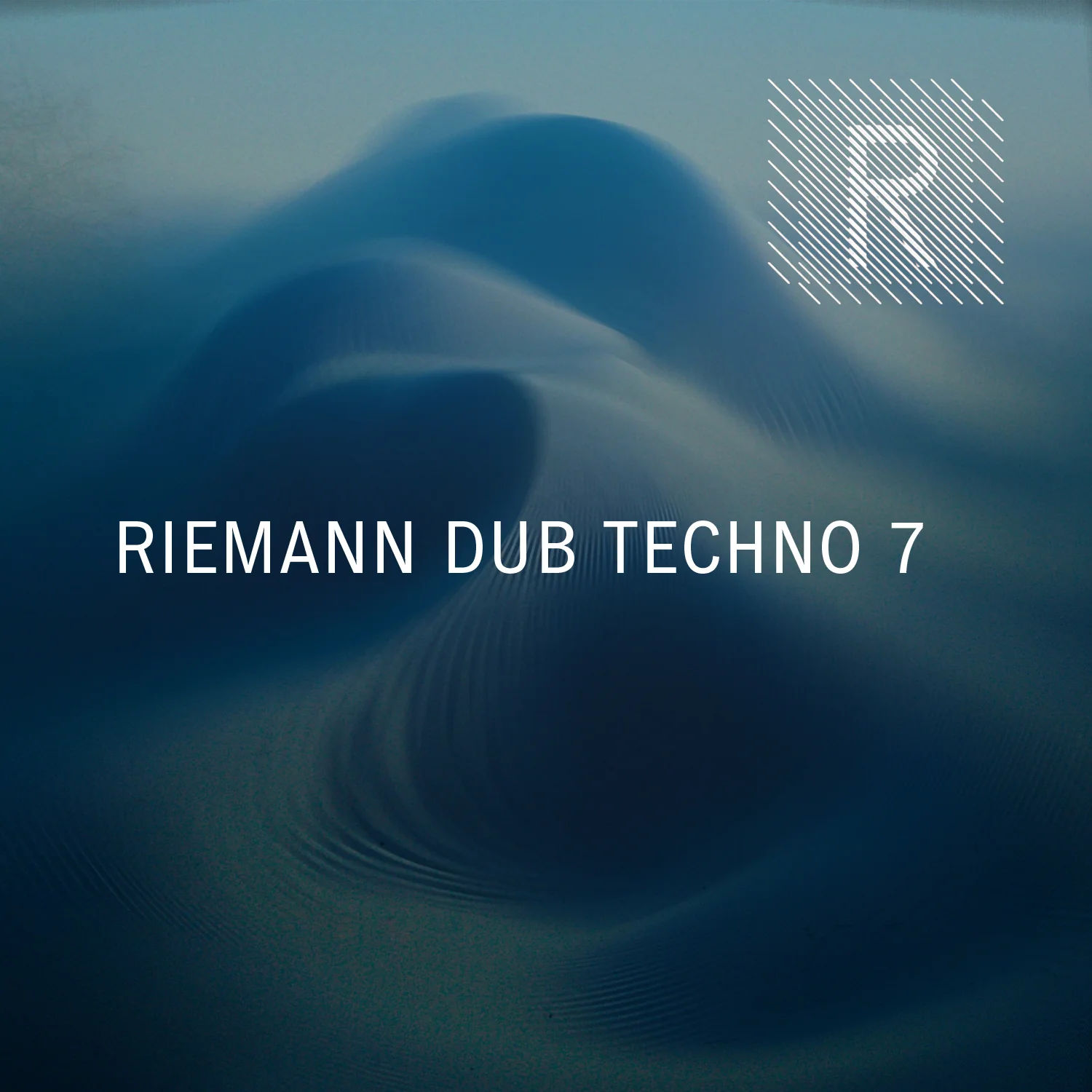 Riemann Dub Techno 7 (24bit WAV Loops & Oneshots)