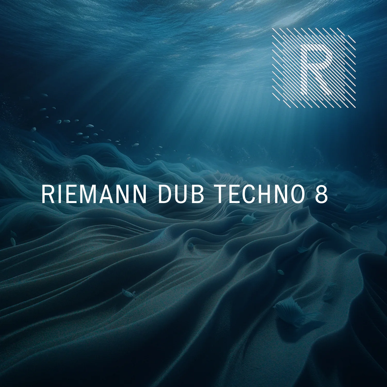 Riemann Dub Techno 8 (24bit WAV Sounds and MIDI)