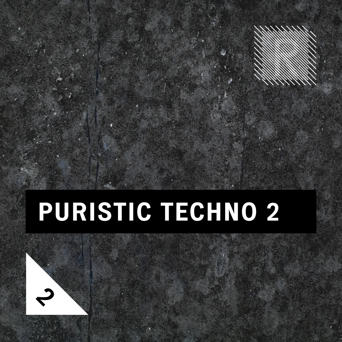 Riemann Puristic Techno 2 (24bit WAV Loops & Oneshots)